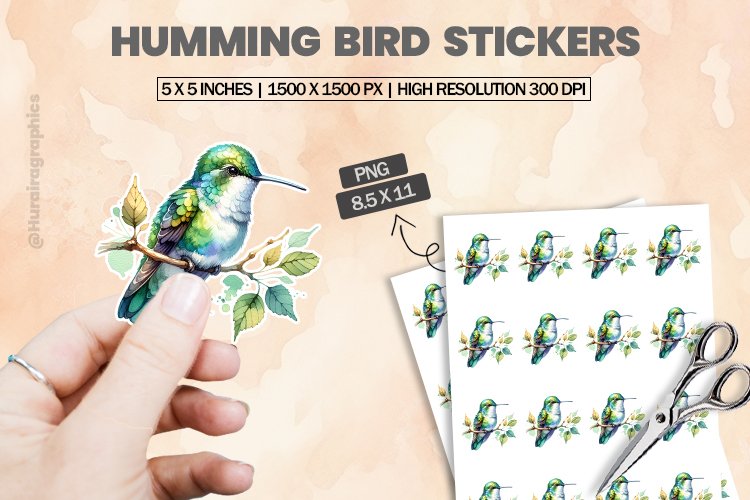 Humming Bird Clipart Image 16