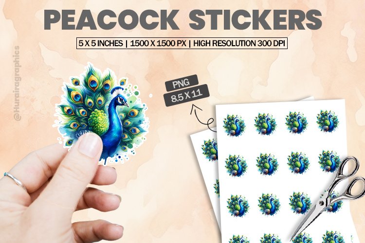 Peacock Png Image 8
