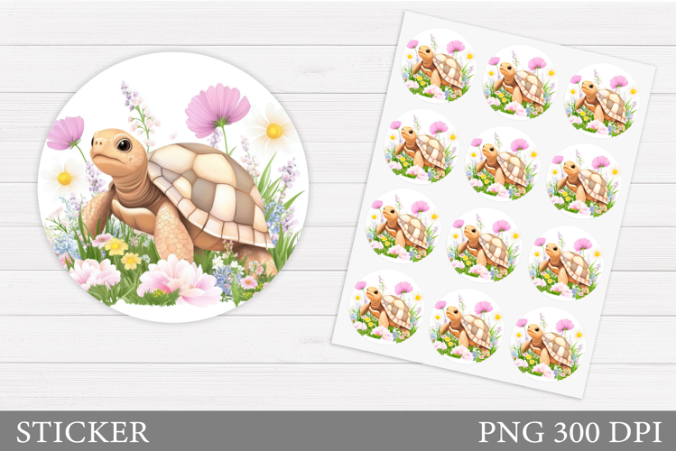 Cute Turtle Clipart