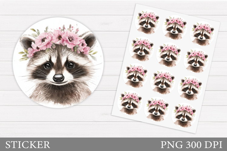 Raccoon Clipart Image 18