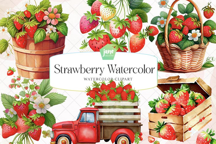 Strawberry Illustration Image 19