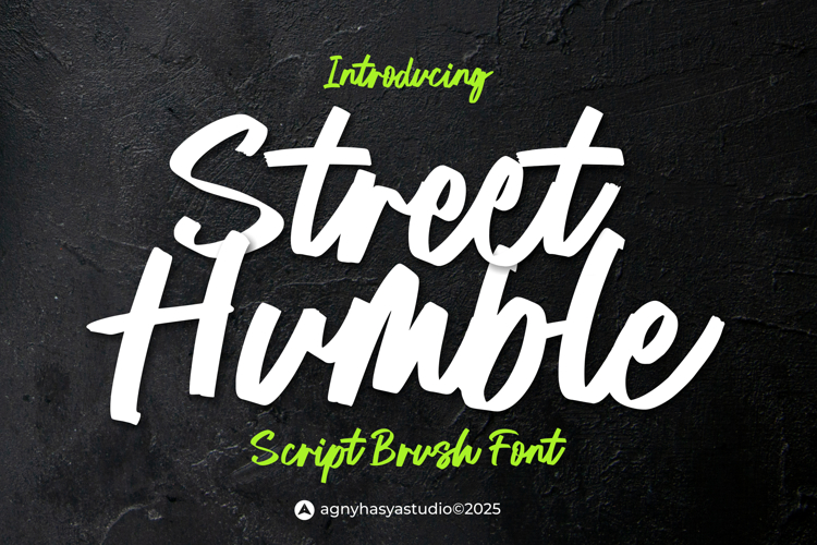 Brush Script Font Image 14