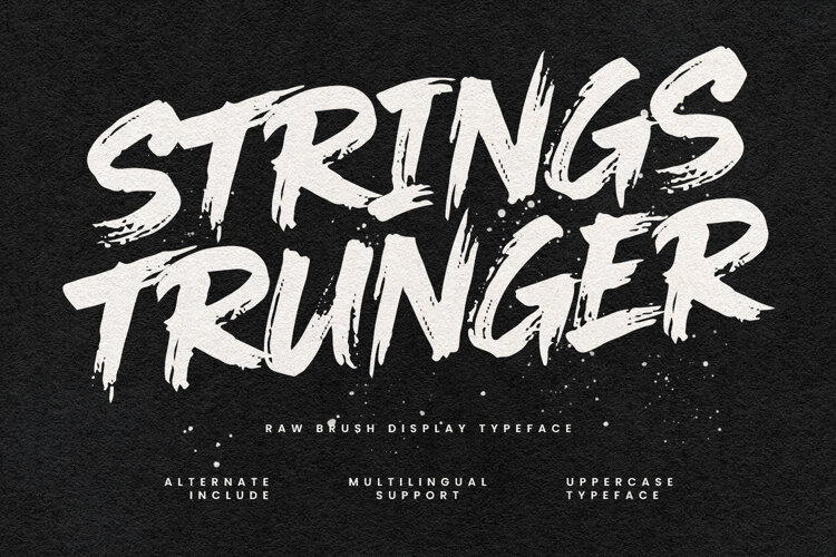 Strings Trunger Raw Brush Display Typeface example image 1