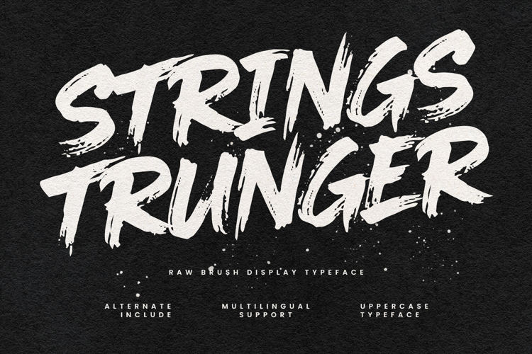 Strings Trunger Raw Brush Display Typeface
