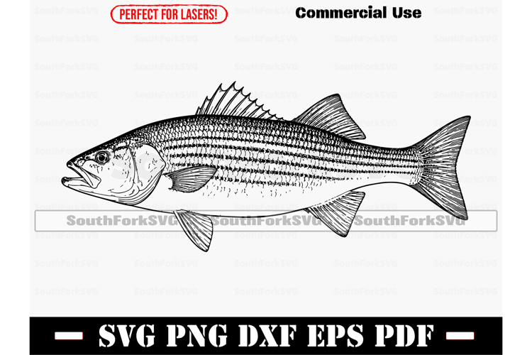 Striped Bass Striper SVG PNG DXF EPS PDF