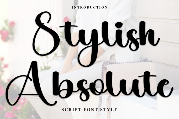 Stylish Absolute