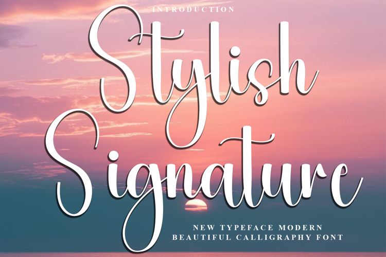 Stylish Signature