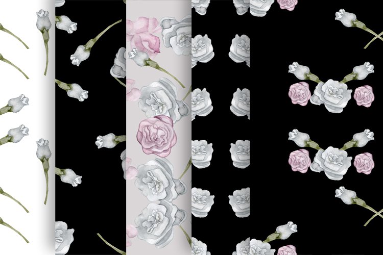 Rose Background Image 12