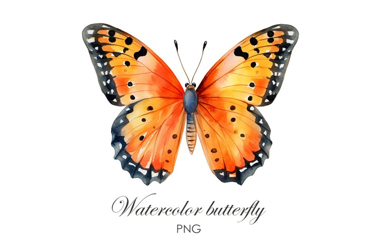Watercolor Butterfly Clipart Image 7