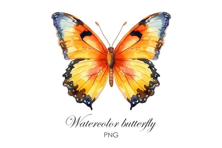 Watercolor Butterfly Clipart Image 22