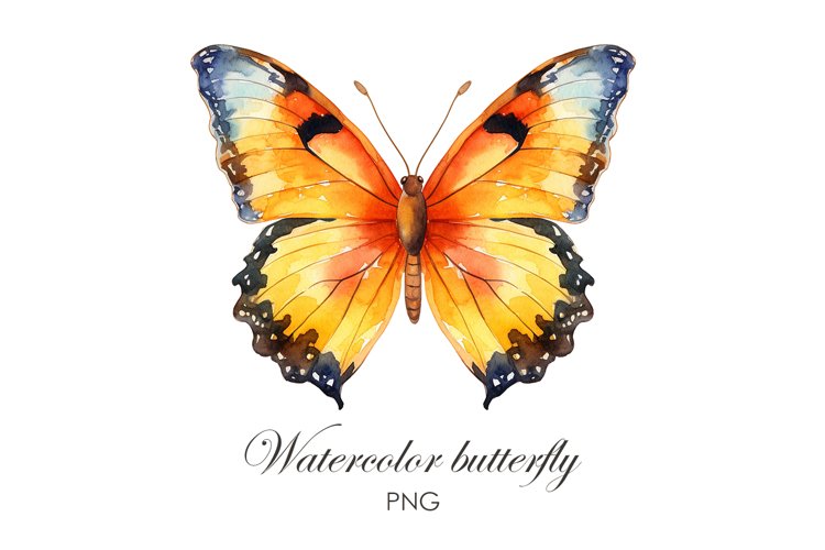 Sublimation Watercolor butterfly PNG