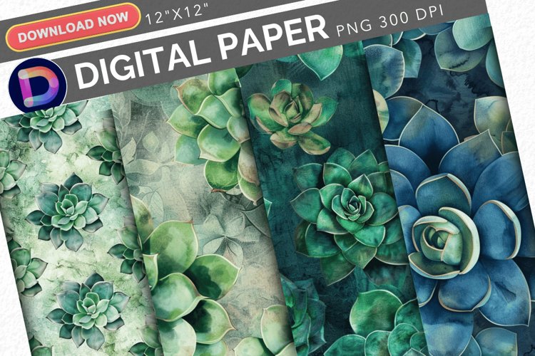 Watercolor Succulent Clipart