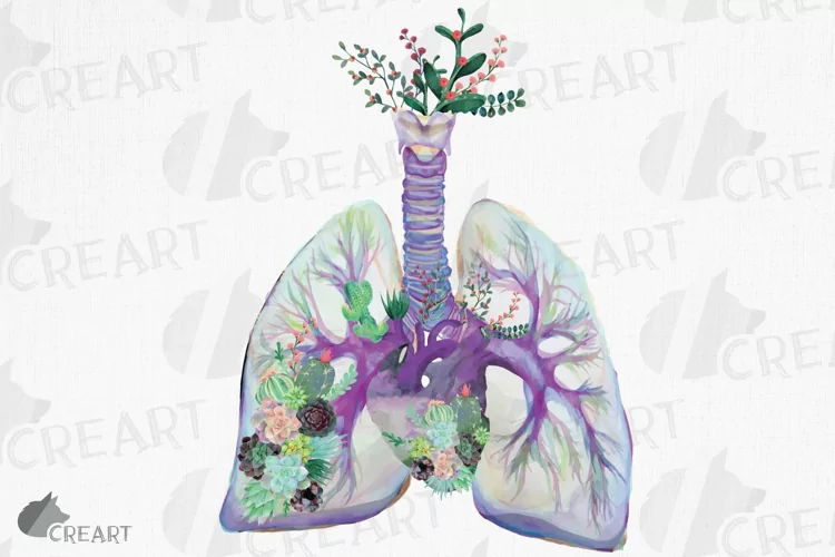Succulent floral human anatomy lungs with heart graphic art.