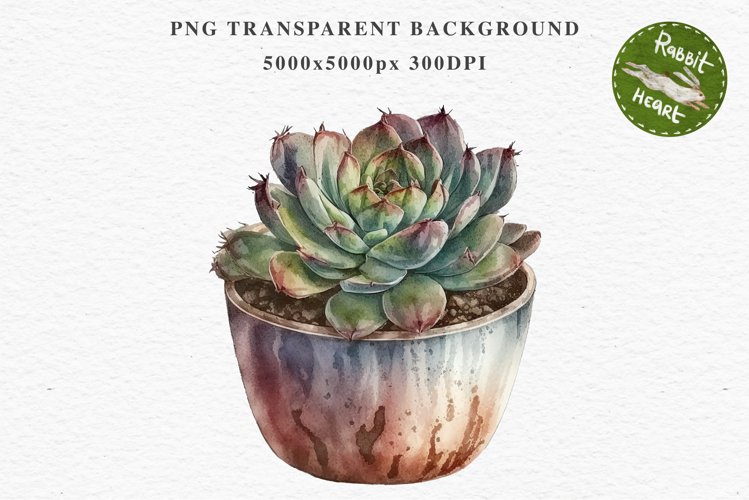 Succulent Flower Pot Floral Wreath Clipart PNG Scrapbooking Nursery Watercolor Transparent wedding invitation shirt designs sublimation printable digital bloom watercolor Succulent, flowers pot clipart, floral sublimation nursery, spring, wedding invitati