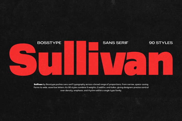 Sullivan | 91 Style Font example image 1