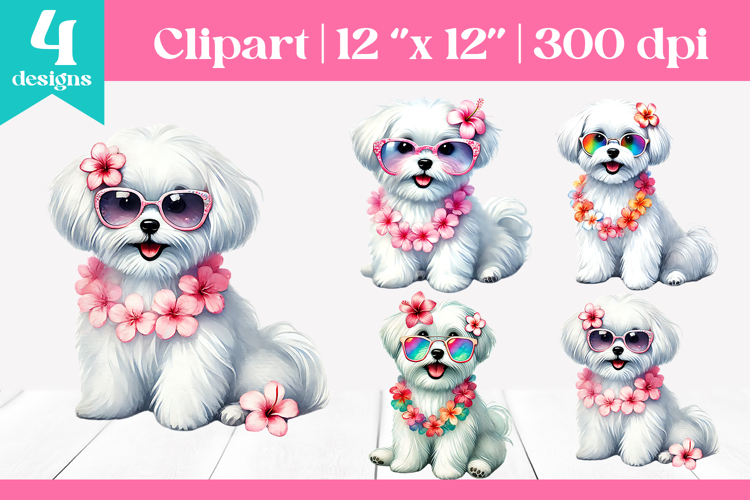Maltese Clipart Image 9
