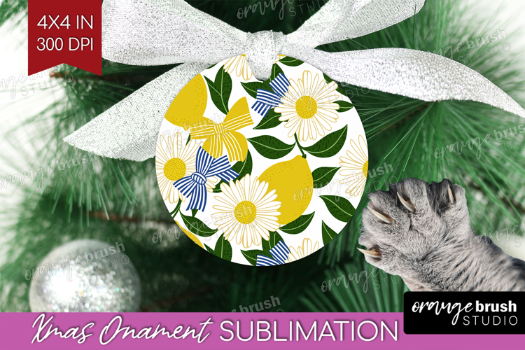 Ornament Png Image 12