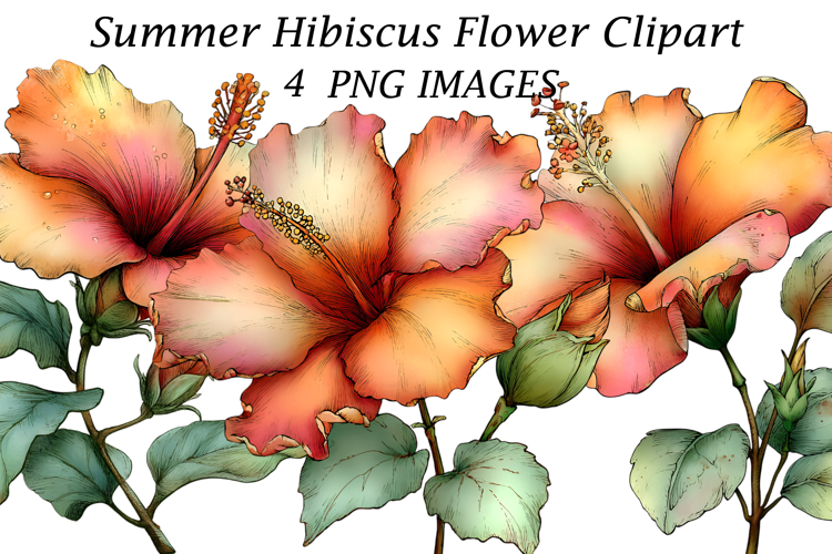 Summer Backgrounds Image 24