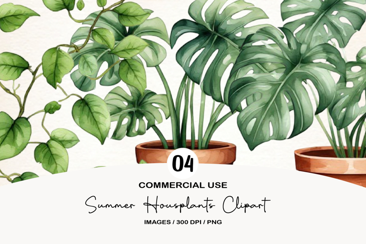 Summer Housplants Clipart
