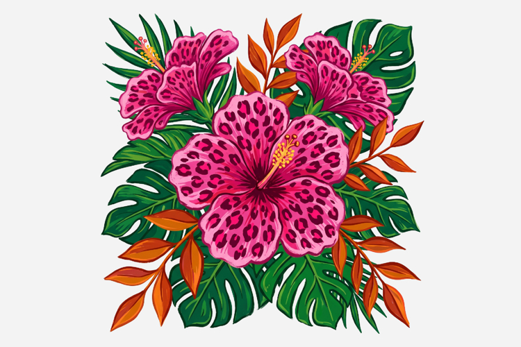 Summer Leopard Hibiscus PNG