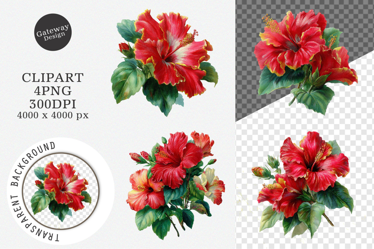 Summer Tropical Hibiscus Flower Clipart