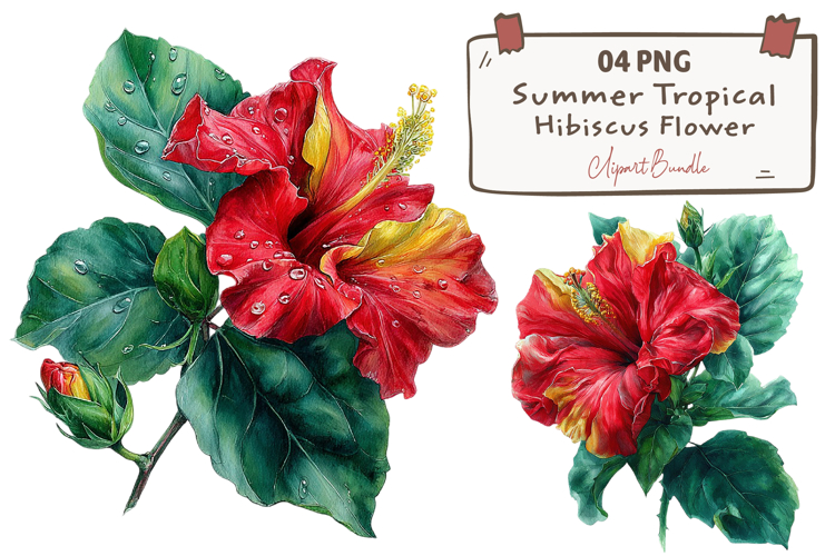 Summer Tropical Hibiscus Flower Clipart
