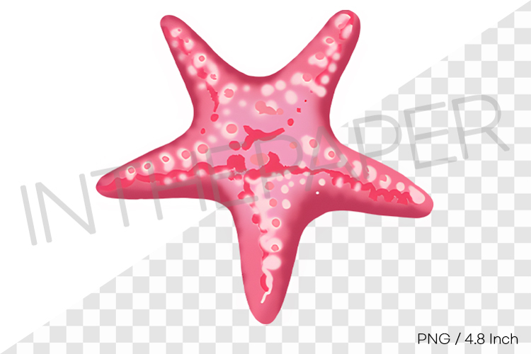 Starfish Clipart Image 14