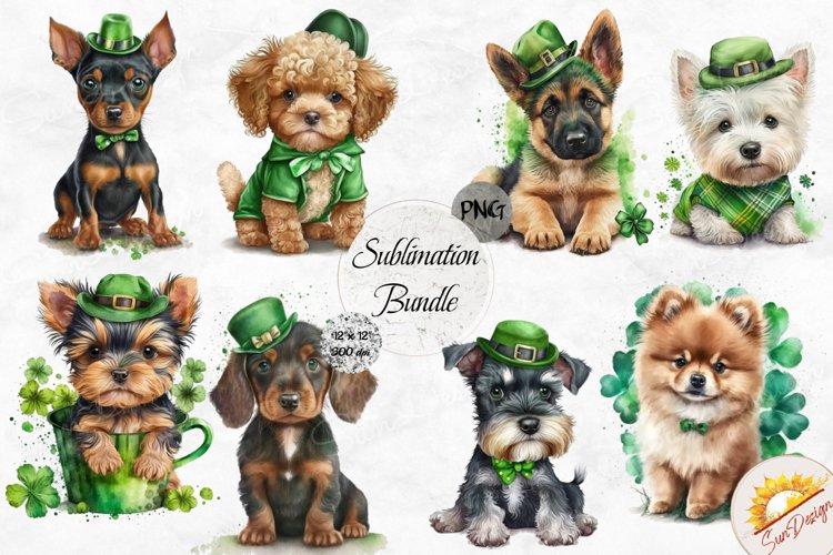 St Patrick's Day Clipart Image 20