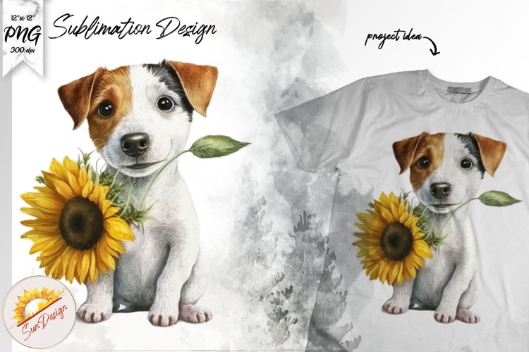 Sunflower PNG Image 5