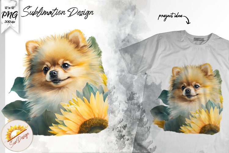 Pomeranian Clipart Image 21