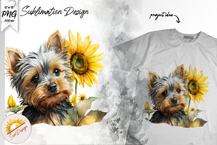 Sunflower Clipart Image 24