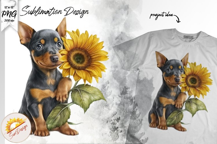 Pinscher Sunflower Watercolor Sublimation PNG