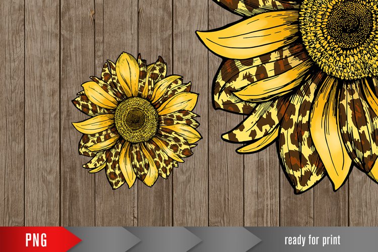 sunflower leopard , sublimation design PNG