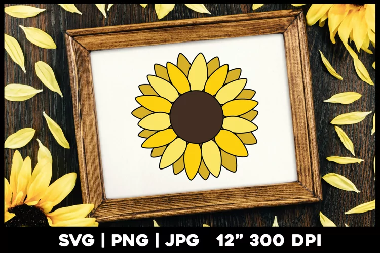 Sunflower svg