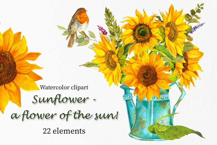 Sunflower - a flower of the sun! Watercolor clipart example image 1