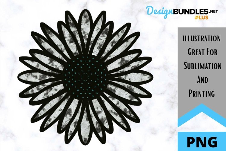 Sunflower Background Image 10