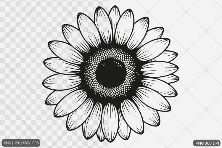 Sunflower Design SVG PNG