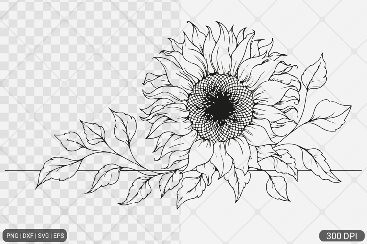 Sunflower PNG Image 6
