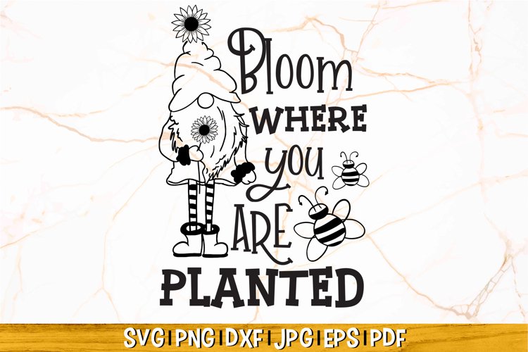 Sunflower Clipart Image 15