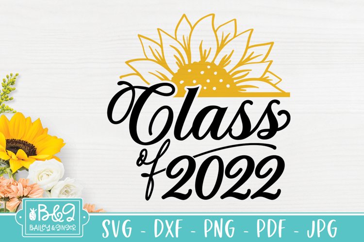 Class Of Svg Image 4