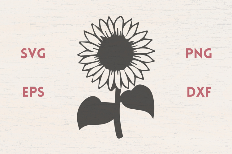 Sunflowers stem leaves SVG