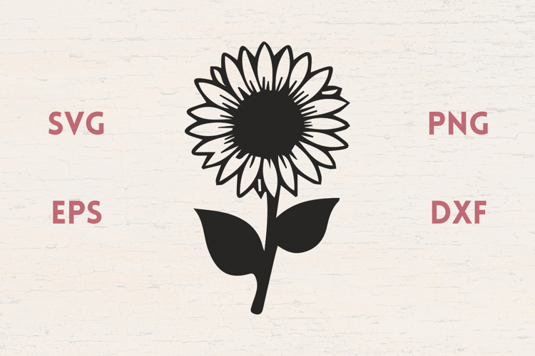 Sunflower with leaves SVG
