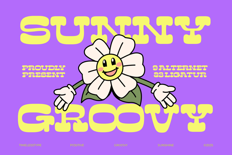 Sunny Groovy - Display Groovy Font