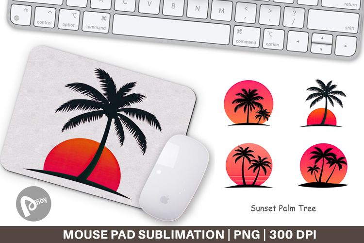 Palm Tree Png Image 6