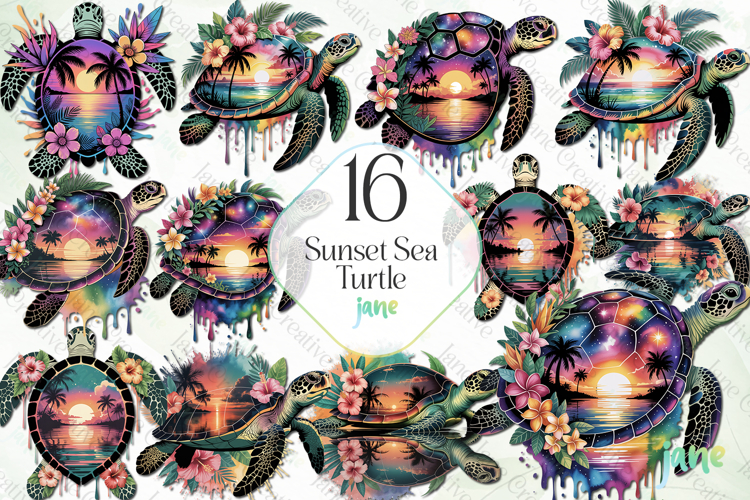 Sea Turtle Illustration