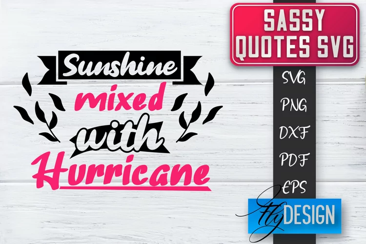 Sassy Quotes Design | Sassy SVG | Sarcastic Quotes SVG v.2