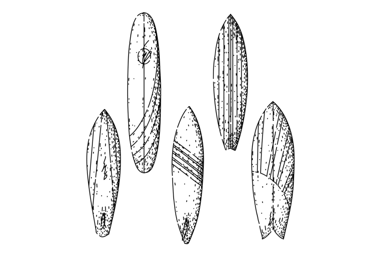 surfboard set sketch hand drawn