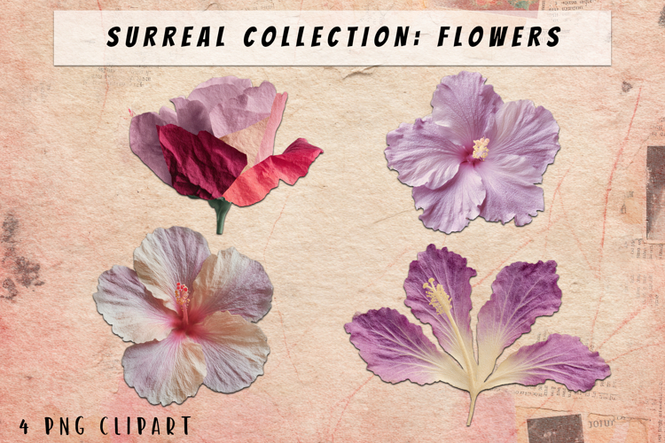 Blumen Png Image 5