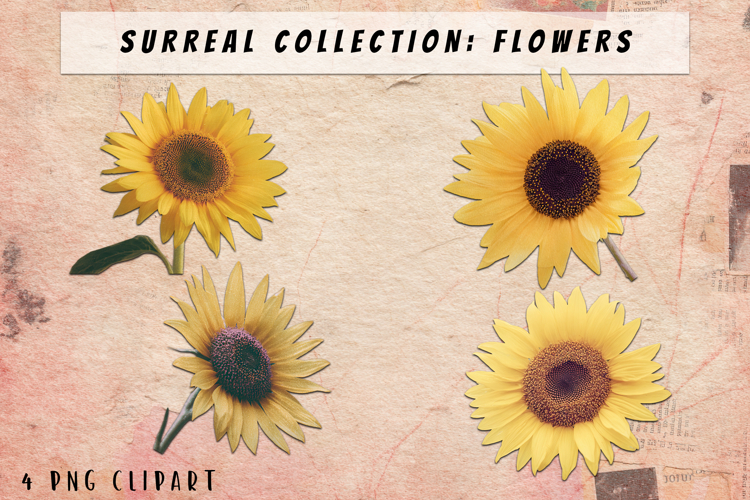 Blumen Png Image 4