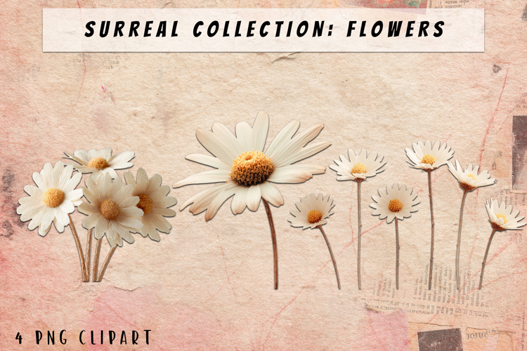 Blumen Png Image 3